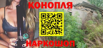 прущие грибы Краснознаменск