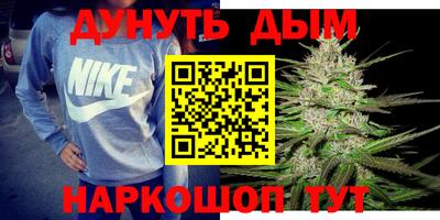 прущие грибы Краснознаменск