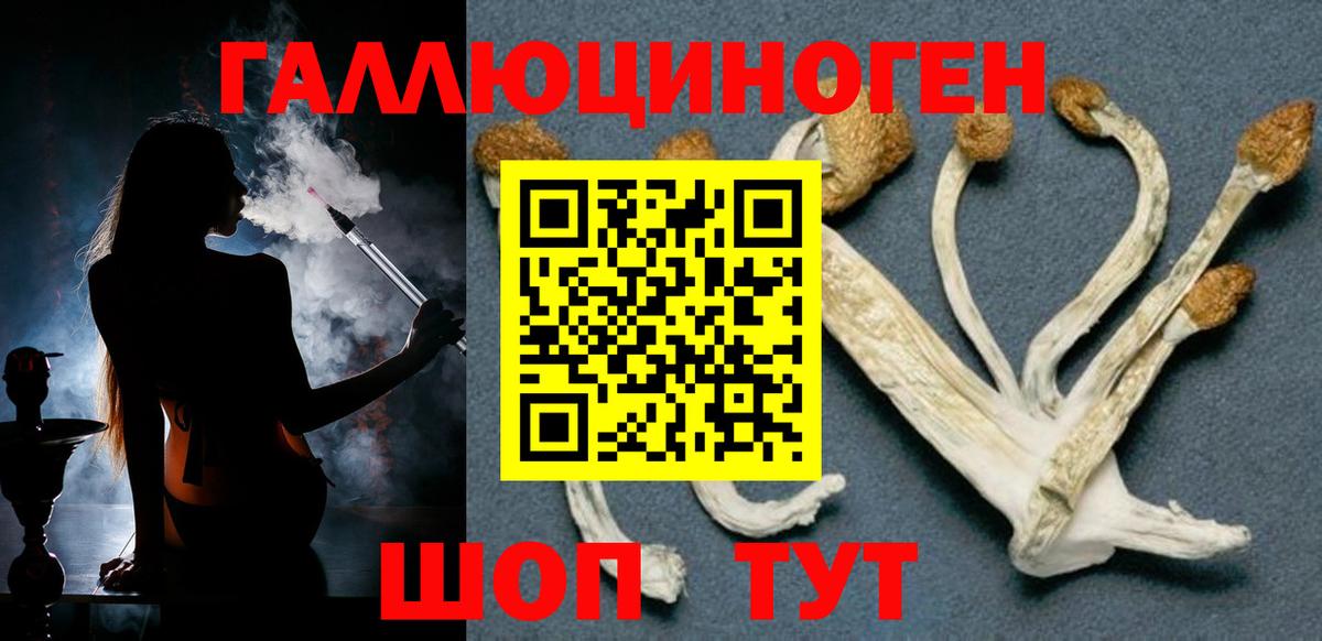 Галлюциногенные грибы MAGIC MUSHROOMS  купить   Заводоуковск  Вход с VPN 