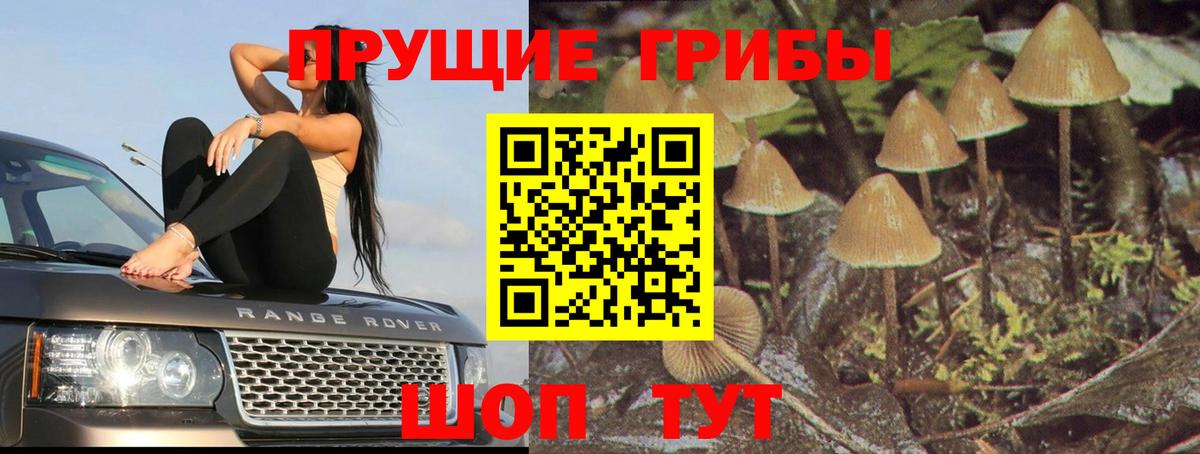Галлюциногенные грибы GOLDEN TEACHER Заводоуковск