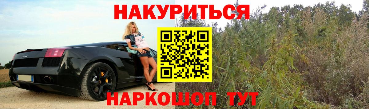 Бошки марихуана семена  Вход с VPN  Каннабис MAZAR  МАРИХУАНА Amnesia  Заводоуковск 